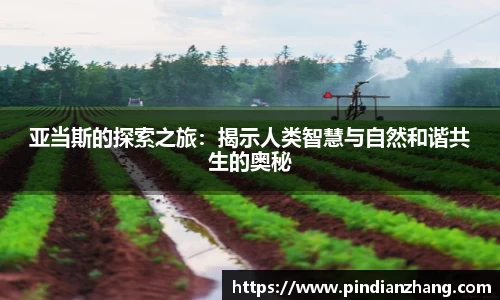 OETY欧亿体育网址